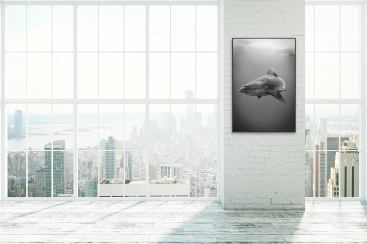 Black-and-white underwater portrait of a large bull shark swimming toward the camera in open water, its powerful body and dorsal fin sharply outlined against a smooth gradation of light above.