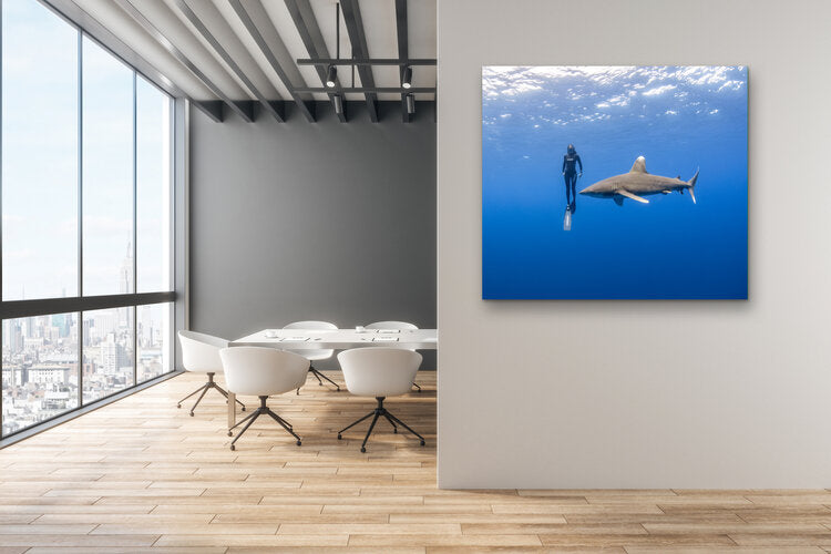 Underwater photograph of a freediver in a black wetsuit floating beside an oceanic white tip shark in deep blue water, both silhouetted against the sunlit surface above.