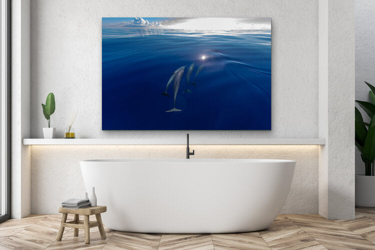 Three dolphins swimming side by side just below the calm water’s surface, with sunlight reflecting on the glassy sea and soft clouds on the horizon.