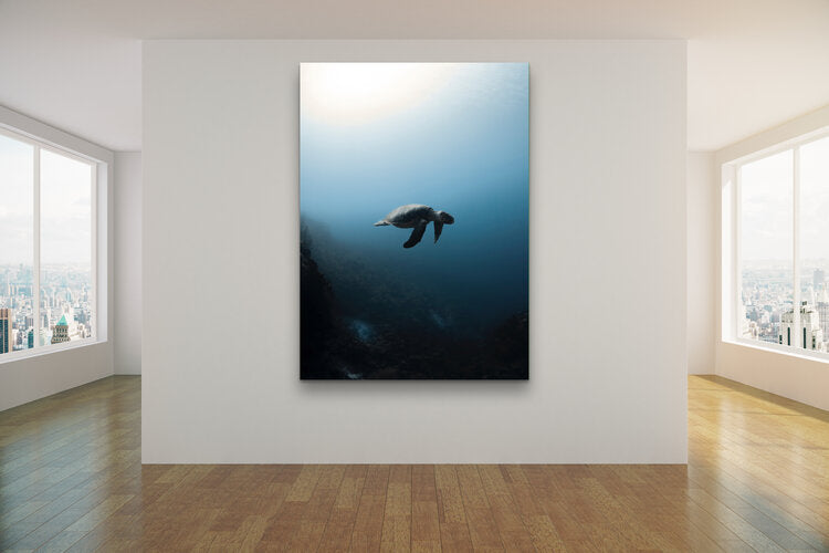 Underwater view of a hawksbill sea turtle swimming through deep blue water toward a bright patch of sunlight filtering down from the surface above.