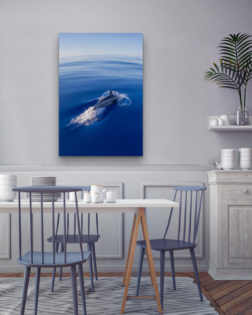 A dolphin breaking the surface of an immaculately calm, deep-blue ocean, leaving a gentle wake beneath a clear sky.