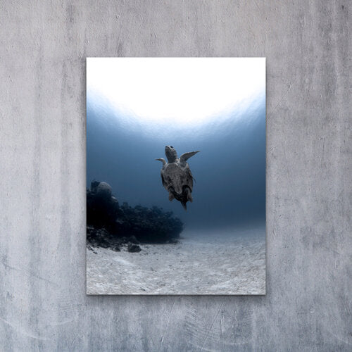 Underwater photograph of a loggerhead sea turtle swimming upward from a sandy seafloor toward the sunlit water surface, with a coral outcrop to one side.