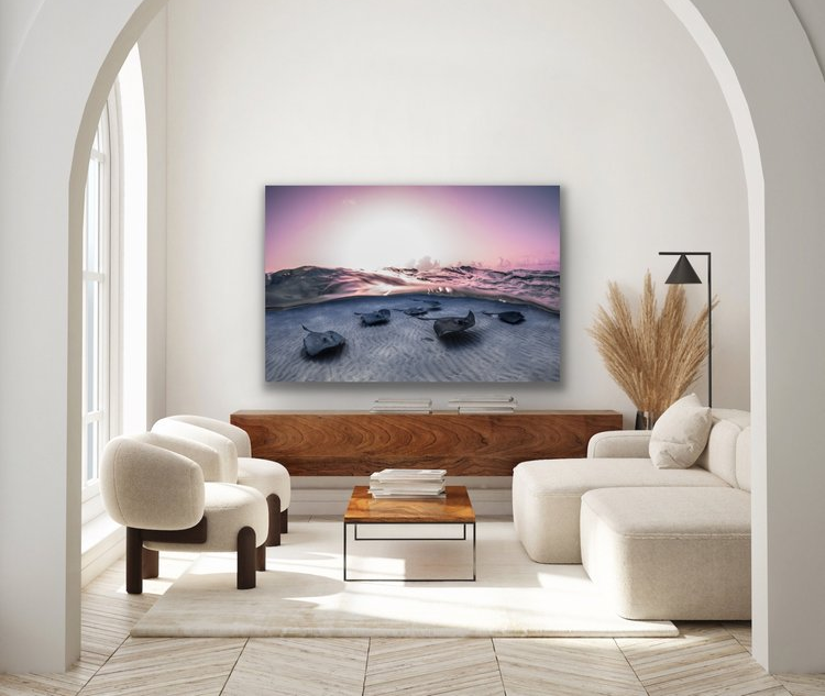 Split-level underwater photograph of six southern stingrays gliding over rippled white sand beneath a glassy water surface tinted pink and purple by the rising sun.
