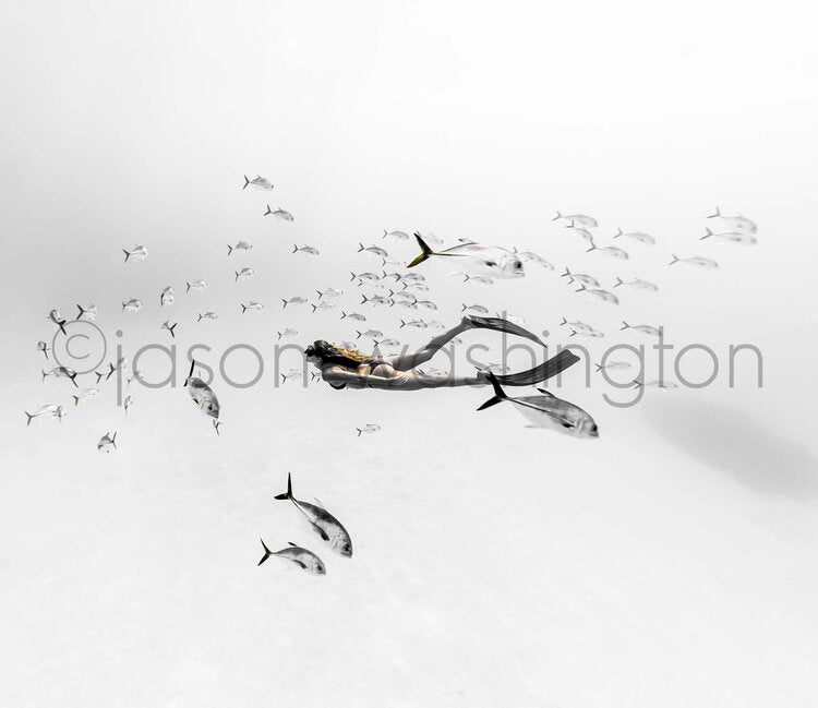 A freediver gliding horizontally through clear, shallow water surrounded by a school of jackfish with yellow tails, all set against a bright, almost white sandy background.