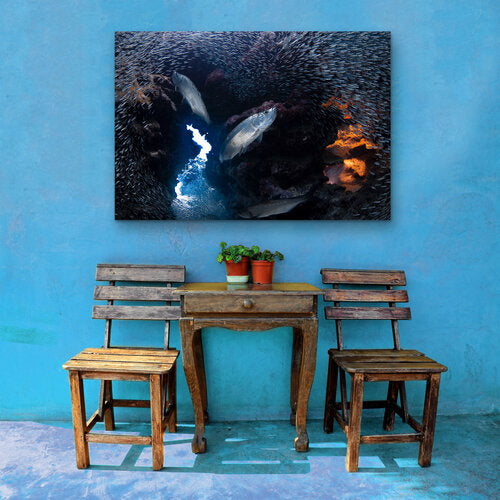 Underwater view inside a coral grotto where three tarpon swim through a swirling school of tiny silvery fish, with a bright tunnel of sunlight and reef rock illuminating the scene.