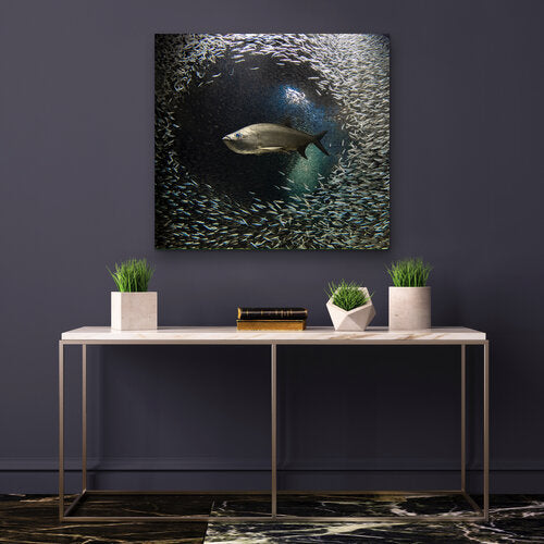 Underwater photograph of a tarpon swimming through a dense, circular school of dwarf herring inside a rocky overhang, light filtering down from above.