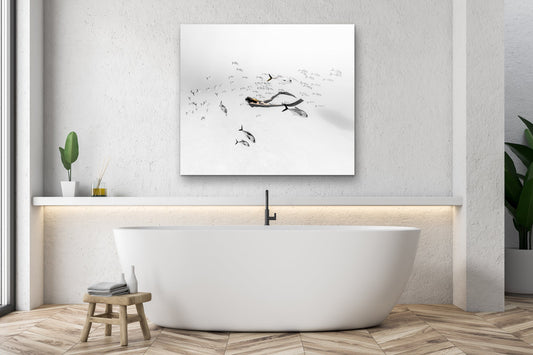Real underwater photography print by CaymanJason created without AI