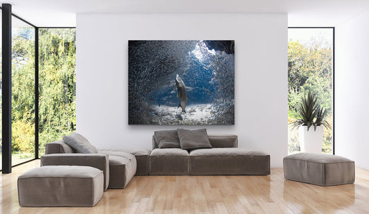 Cayman Islands Ocean Art: Bringing Grand Cayman’s Underwater World Into Your Home