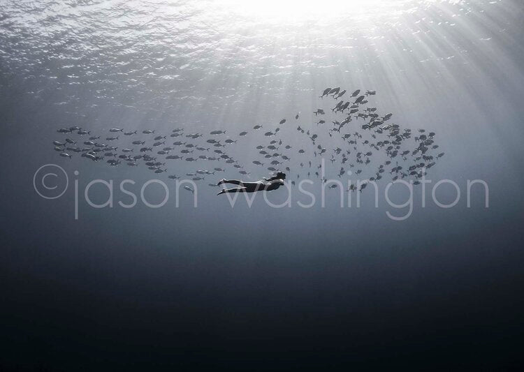 Underwater scene of a freediver swimming horizontally amid a swirling school of Horse-eye jacks in clear blue water, with sunbeams filtering down from the surface above.