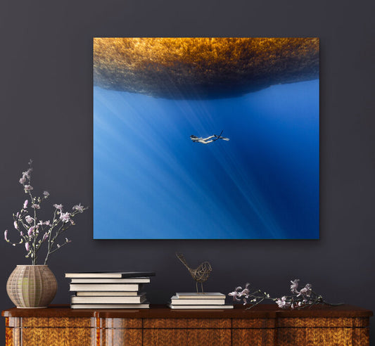 Split-level underwater photograph showing a freediver swimming beneath a dense mat of floating sargassum seaweed, with sunbeams filtering through into deep blue water below.