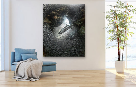Underwater photograph of a large tarpon (“Silver King”) swimming through a swirling school of tiny dwarf herring (“silversides”) inside a rocky overhang, with light filtering down from above.