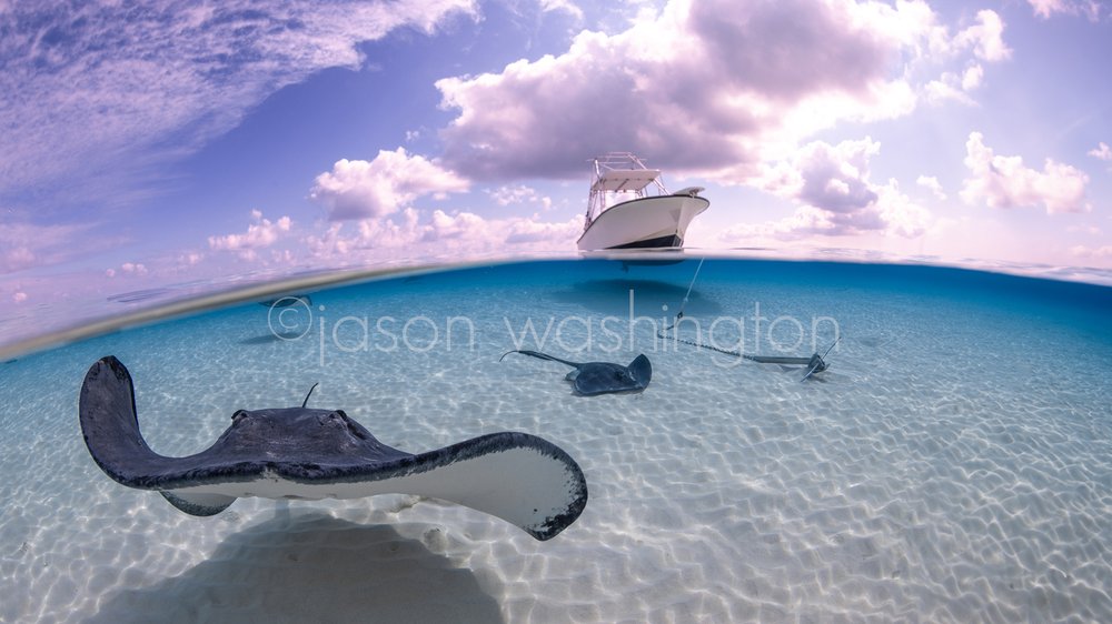 Split-level underwater photograph of a southern stingray gliding over rippled white sand with two other stingrays behind, and a small boat floating on the glassy turquoise sea above under a partly cloudy sky.