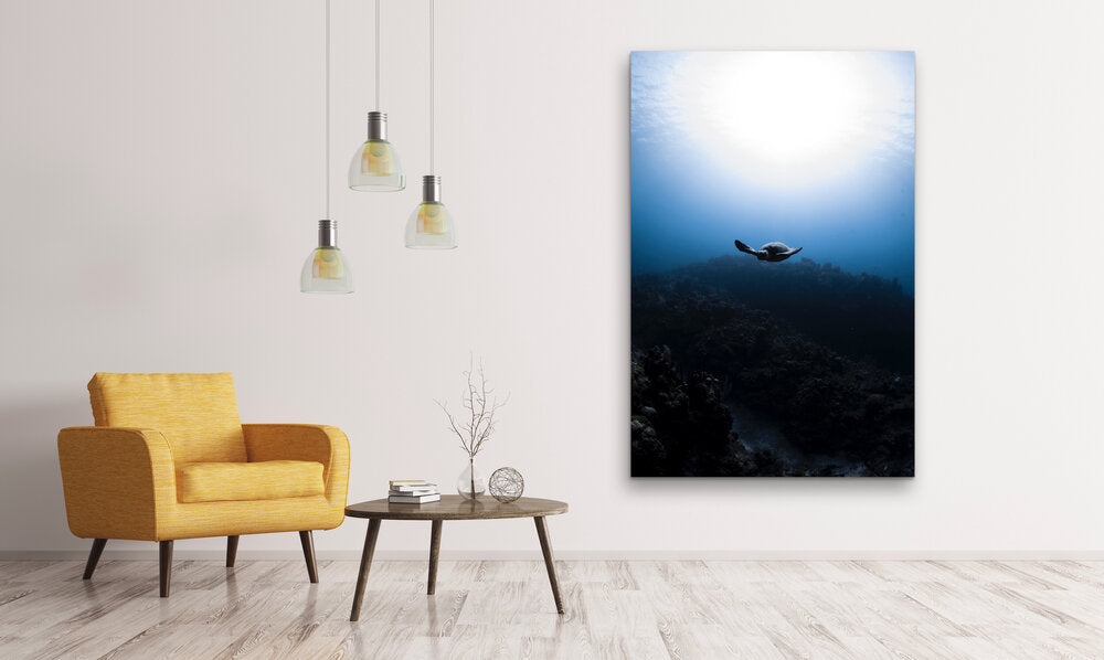 Underwater photograph of a hawksbill sea turtle swimming upward above a dark coral reef, silhouetted against a bright sunburst filtering down through clear blue water.